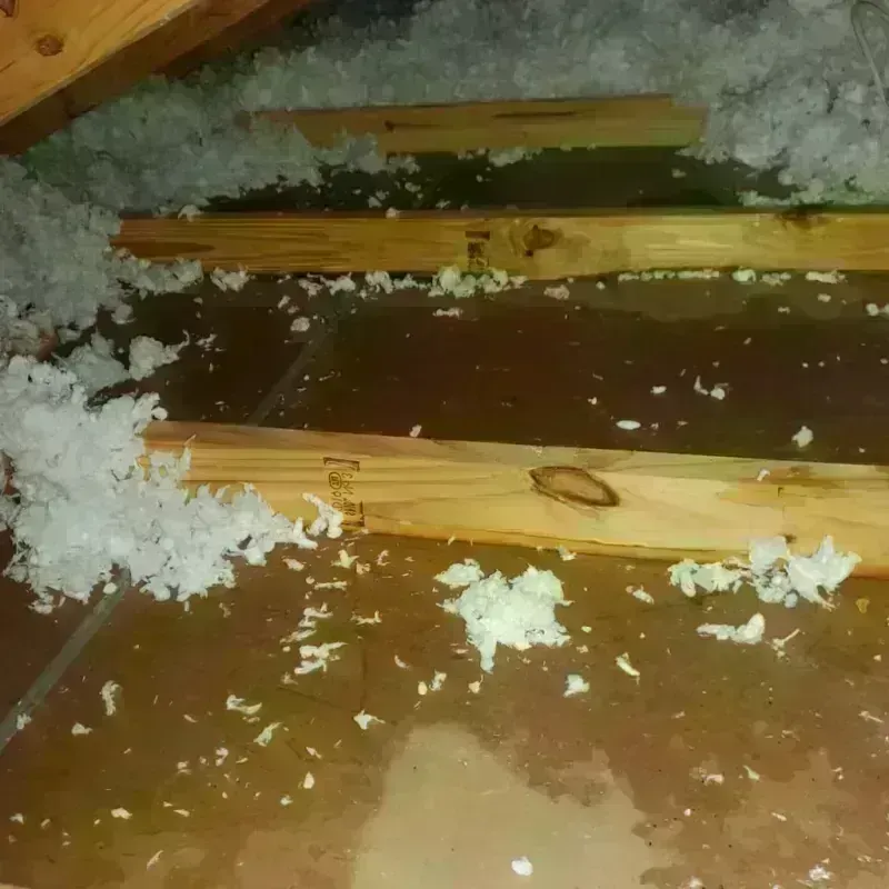 Attic Water Damage in Edgewood, PA